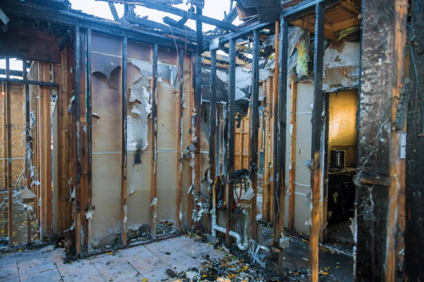 Professional Smoke Damage Removal technician working in Springdale, OH